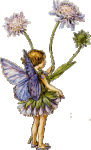 fairytallflowers[1]