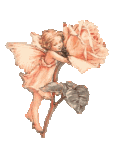 flower-faerie[1]