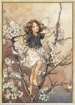 Flower-Fairy-daydreaming-25485002-304-428[1]